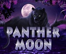 Panther Moon Modal 10 Juta Rupiah Berapa